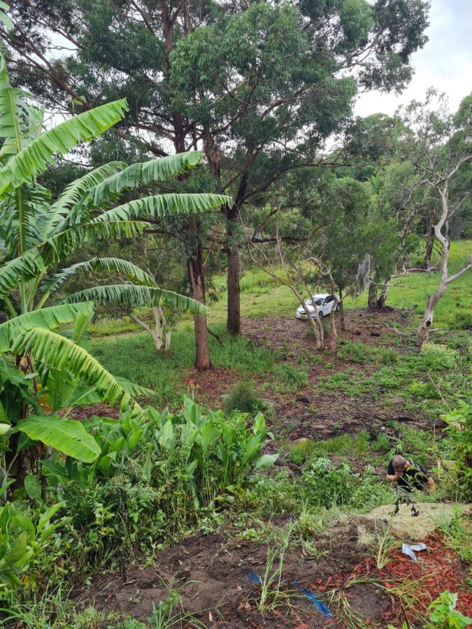 Pangsapuri 40 m² dengan 1 bilik tidur dan 1 bilik mandi peribadi di Sutherland Shire Luaran gambar